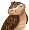 Logo La Chouette Informatique