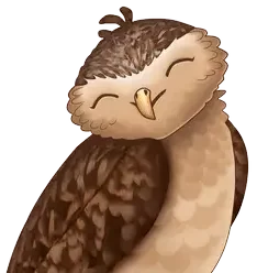 Logo La Chouette Informatique
